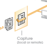 AnyDoc for OCR Capture
